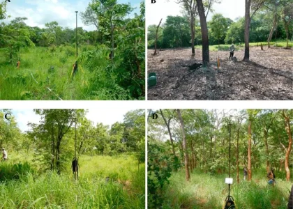 Kenali Peruntukan Lahan (Land Use) Kavling yang Anda Miliki
