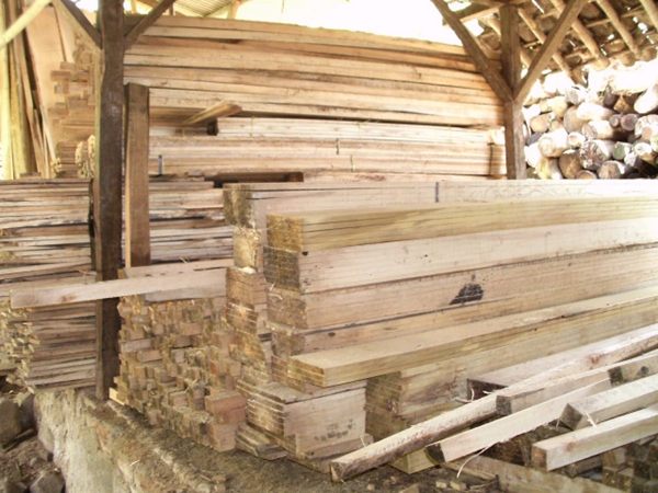 Harga Kayu Reng Terbaru 2025 Berdasarkan Jenis Kayu 8 Kayu Reng Albasia